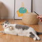 ❄️Summerfresh 50% OFF!🐱Suction Cup Cat Teaser Wand – Bouncy Interactive Chase Toy for Indoor Cats