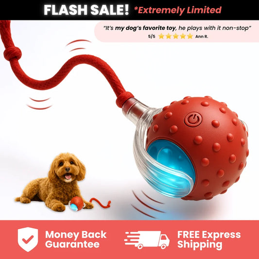 🎃Halloween Deal 50% OFF!🐕Smart Rolling Toy – Bird Sounds, Tail Chase & Tap-Activated Play