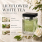 🎃Halloween Deal 50% OFF!✨Luxury Waterless Scent Diffuser – 5 Mist Modes for a Hotel-Inspired Home