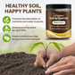 🌱 Flowering soil, effortlessly natural – with ECOCERT power🔔 Improve your soil NOW 🌱Soil improvement