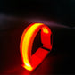 🎃Halloween Deal 50% OFF!🐎LED Horse Leg Bands – Light Up Every Stride (Set of 4)