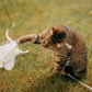 ❄️Summerfresh 50% OFF!🐱Suction Cup Cat Teaser Wand – Bouncy Interactive Chase Toy for Indoor Cats