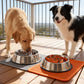 🎃Halloween Deal 50% OFF!🐶Cut-to-Fit Silicone Slow Feeder Insert – Suction-Grip Dog Bowl Insert