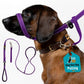 ❄️Summerfresh 50% OFF!🐕Padded Figure-of-8 Dog Lead – Pull-Control Training Lead with Safety Collar Connection