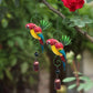 Summer sale New products 49% Discount🔥parrot Wind Chime Hanging Decor