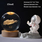 🥳2026 HOT SALE🥳💞50K+ SOLD!💫🌌 Bring the Galaxy into Your Room. 3D Crystal Ball Night Light – 50% OFF! ✨🌙