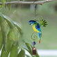 Summer sale New products 49% Discount🔥parrot Wind Chime Hanging Decor