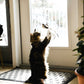 ❄️Summerfresh 50% OFF!🐱Suction Cup Cat Teaser Wand – Bouncy Interactive Chase Toy for Indoor Cats