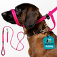 ❄️Summerfresh 50% OFF!🐕Padded Figure-of-8 Dog Lead – Pull-Control Training Lead with Safety Collar Connection