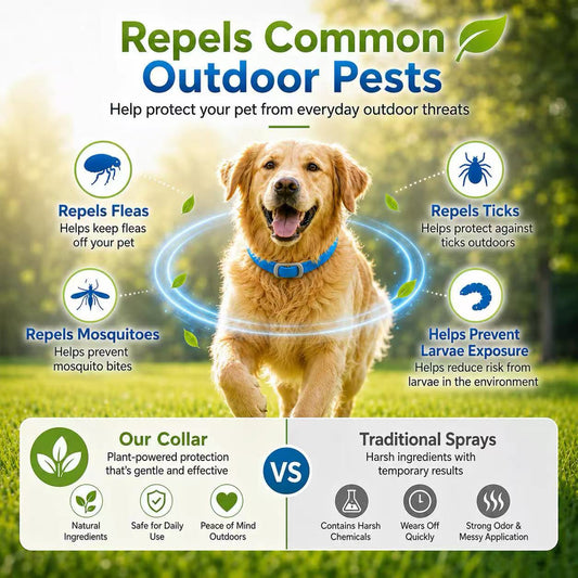 Natural Essential Oil Pet Pest Repellent Collar