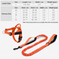🎃Halloween Deal 50% OFF!🐾Adjustable No-Pull Dog Harness & Free Bungee Lead – Walks Made Easier