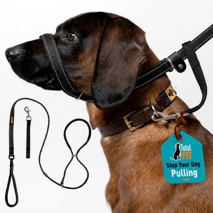 ❄️Summerfresh 50% OFF!🐕Padded Figure-of-8 Dog Lead – Pull-Control Training Lead with Safety Collar Connection