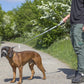 ❄️Summerfresh 50% OFF!🐕Padded Figure-of-8 Dog Lead – Pull-Control Training Lead with Safety Collar Connection