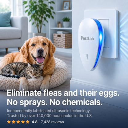 ❄️Summerfresh 50% OFF!🏠Upgraded Pest Repeller - Banish Fleas For Good