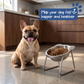 ❄️Summerfresh 50% OFF!🥣15° Tilted Orthopaedic Feeding Bowl