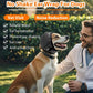 🎃Halloween Deal 50% OFF!🐾Waterproof Dog Calming Ear Wrap – Gentle Comfort for Fireworks & Grooming