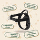 🎃Halloween Deal 50% OFF!🐾Adjustable No-Pull Dog Harness & Free Bungee Lead – Walks Made Easier