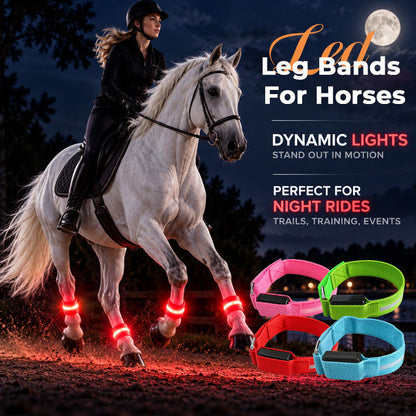 🎃Halloween Deal 50% OFF!🐎LED Horse Leg Bands – Light Up Every Stride (Set of 4)
