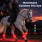 🎃Halloween Deal 50% OFF!🐎LED Horse Leg Bands – Light Up Every Stride (Set of 4)