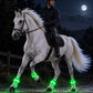 🎃Halloween Deal 50% OFF!🐎LED Horse Leg Bands – Light Up Every Stride (Set of 4)