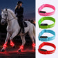 🎃Halloween Deal 50% OFF!🐎LED Horse Leg Bands – Light Up Every Stride (Set of 4)