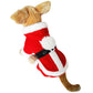 🎄Christmas Discounts🎄Autumn And Winter Cat Christmas Dog Clothes