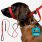 ❄️Summerfresh 50% OFF!🐕Padded Figure-of-8 Dog Lead – Pull-Control Training Lead with Safety Collar Connection