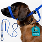 ❄️Summerfresh 50% OFF!🐕Padded Figure-of-8 Dog Lead – Pull-Control Training Lead with Safety Collar Connection