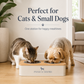 📢📢50% OFF !! ⏰Stainless Steel Detachable Double Pet Bowl