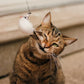 ❄️Summerfresh 50% OFF!🐱Suction Cup Cat Teaser Wand – Bouncy Interactive Chase Toy for Indoor Cats