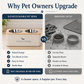 📢📢50% OFF !! ⏰Stainless Steel Detachable Double Pet Bowl