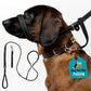 ❄️Summerfresh 50% OFF!🐕Padded Figure-of-8 Dog Lead – Pull-Control Training Lead with Safety Collar Connection