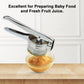 AEX Multifunctional Stainless Steel Potato, Juice & Food Press