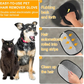 🐾🧤 Pet Haarverwijderaar Elektrostatische Handschoenen – Dubbelzijdig Efficiënt, Zacht Siliconen & Wasbaar Herbruikbaar (Veelzijdig Huis+Auto)!