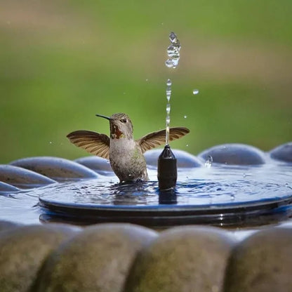 ⏳Limited Special 63%OFF⏰Compact Solar Bird Fountain Pump – Keep Your Garden Alive! 🐦️