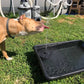 🔥HOT SALE 50% OFF 🔥Solar Powered Fountain