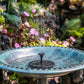 🔥HOT SALE 50% OFF 🔥Solar Powered Fountain