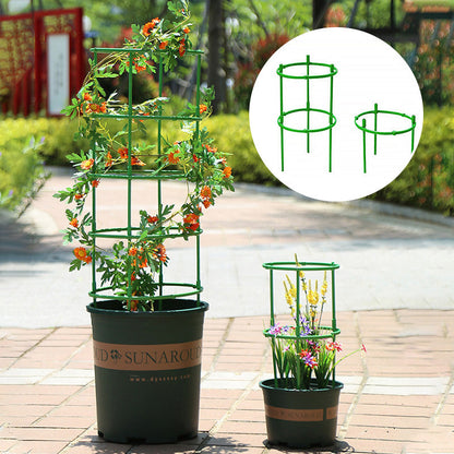 Removable plant stand support stakes for plants and flowers and fruits