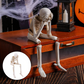 No Evil Skeleton Figurine for Gothic & Halloween Decor