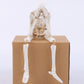 No Evil Skeleton Figurine for Gothic & Halloween Decor