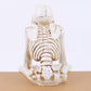 No Evil Skeleton Figurine for Gothic & Halloween Decor