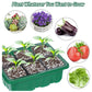 Adjustable Humidity Seed Starter Trays