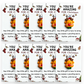 Christmas Series Holiday Cards