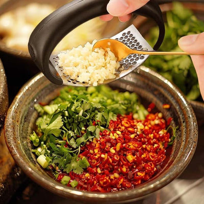 Stainless Steel Garlic Presser