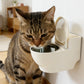Wall-Mounted Toilet-Shaped Cat Bowl