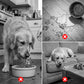 Anti-gulping bowl for dogs with rolling ball