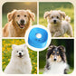 Anti-gulping bowl for dogs with rolling ball