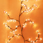 ❄️Summerfresh 50% OFF!🏡Floral Vine LED Wall Lights – Flexible USB-Powered Ambience Lighting with Remote Option