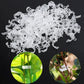 💥2026 Hot Sale 49% OFF💥 Secured Plastic Plant Clip（BUY 3 GET 2 FREE）
