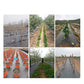 ❄️Summerfresh 50% OFF!🌿Heavy-Duty Weed Control Membrane – Permeable Garden Fabric for Beds, Borders, Gravel & Landscaping